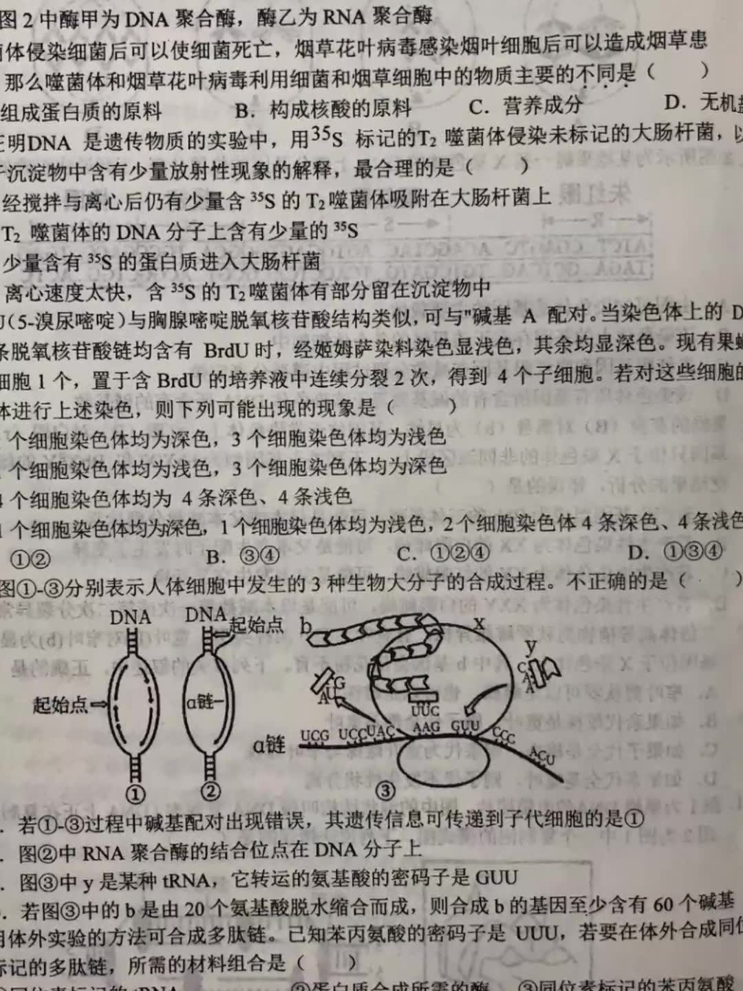 六安一中2020~2021高一第二学期期末考试生物哔哩哔哩bilibili