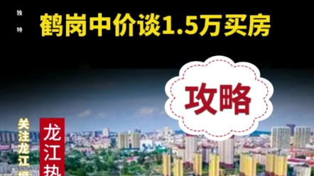 25岁女生1.5万在鹤岗买房走红网络,鹤岗中介谈1.5万买房的条件哔哩哔哩bilibili