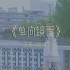 《单向镜面》SNH48王晓佳 【奉天承芸】我好想将这封信交给你｜天草对天上草的幻想梦境