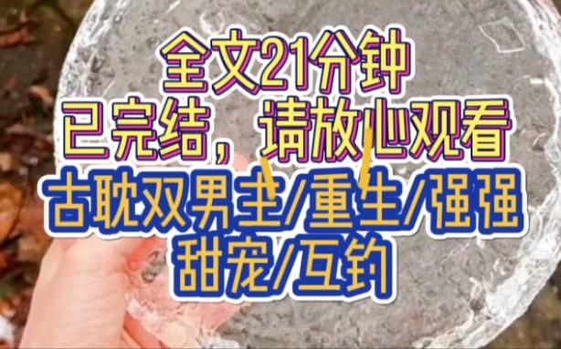 [图]《将军正妻》双男主+重生+双强+甜宠+正剧+文笔好