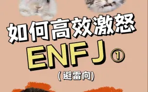 Download Video: 如何高效激怒ENFJ！！！（避雷向）①