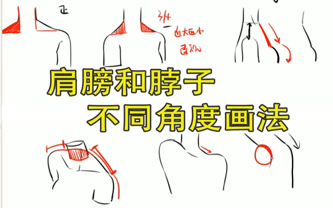 【日韩二次元板绘教程】不要只画头像了,身子真的没那么难!脖子和肩膀链接不同角度画法哔哩哔哩bilibili