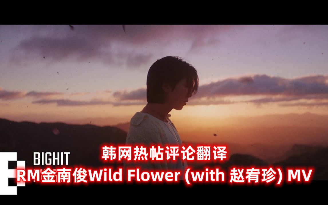 [图]【韩网热帖评论翻译】RM金南俊solo曲《Wild Flower》MV