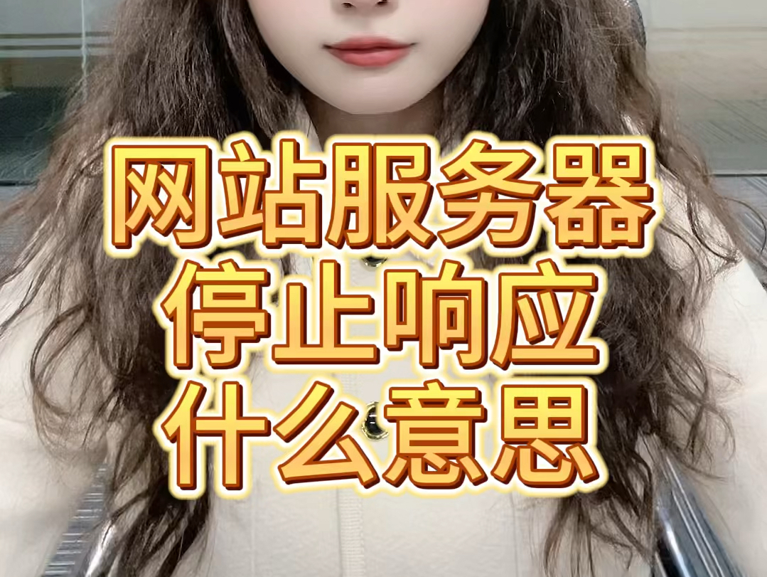 网站服务器停止响应什么意思?