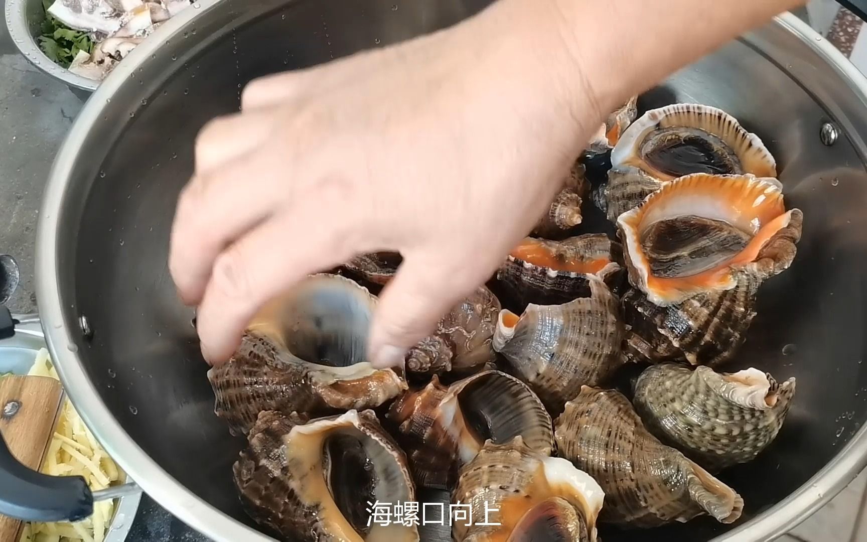 煮海螺,凉水煮还是开水煮?海鲜贩子教你正确方法,鲜嫩脆爽,鲜哔哩哔哩bilibili