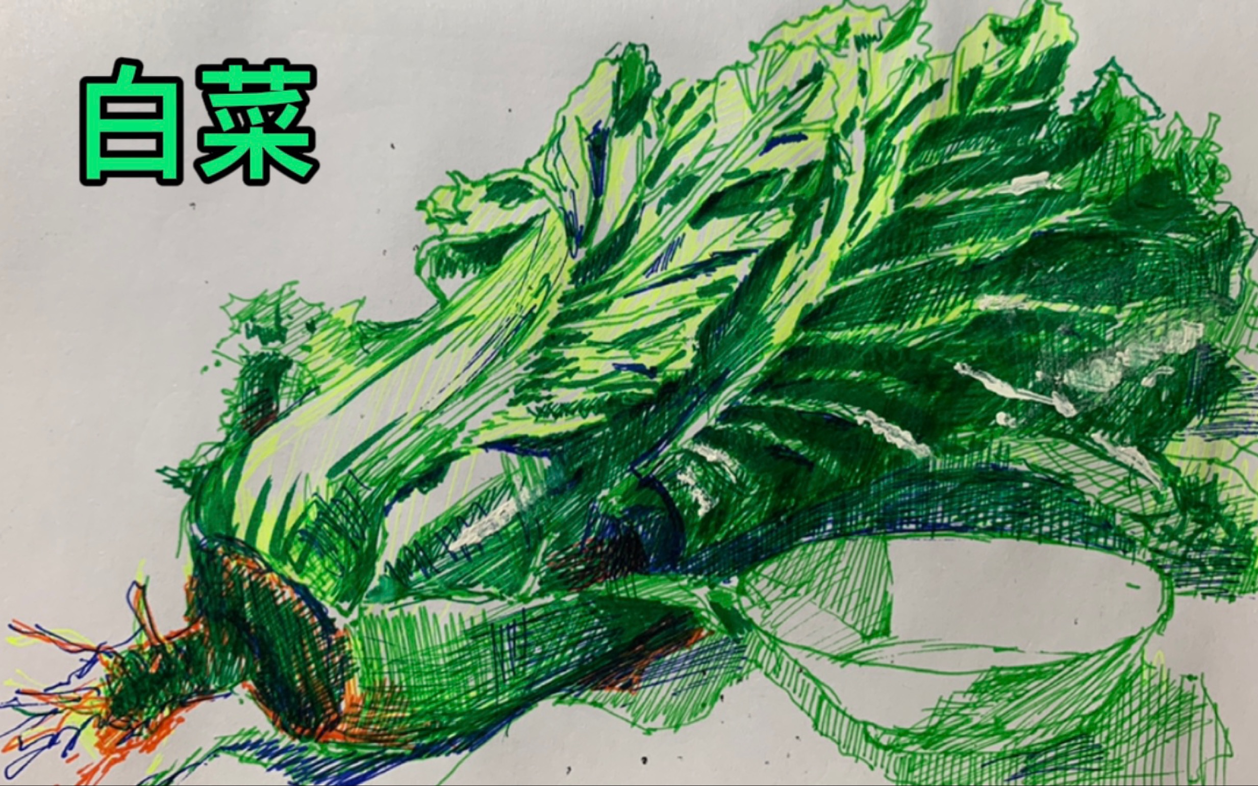 花里胡哨的速写 -白菜