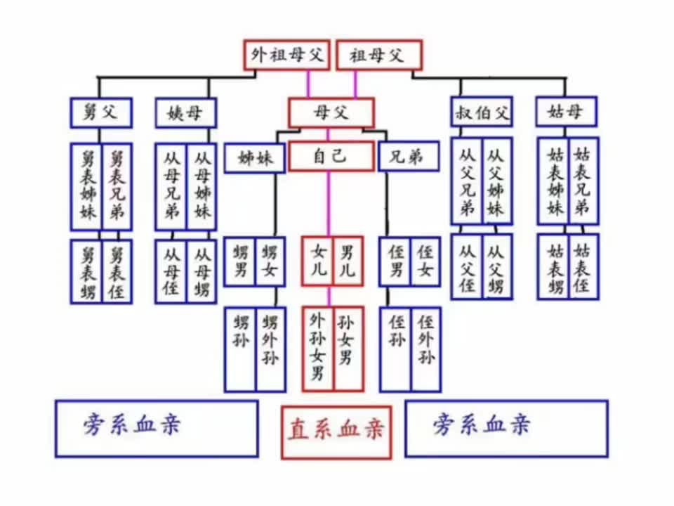血缘关系和亲缘关系的区别