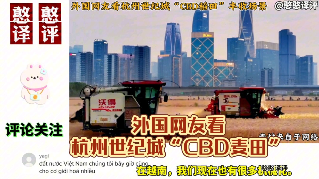 中国杭州世纪城“CBD麦田”丰收场景!越南网友:四个现代化场景哔哩哔哩bilibili