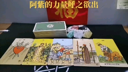 阿紫小我的征服,内心力量呼之欲出,阿紫有想法,有行动,有收获.哔哩哔哩bilibili