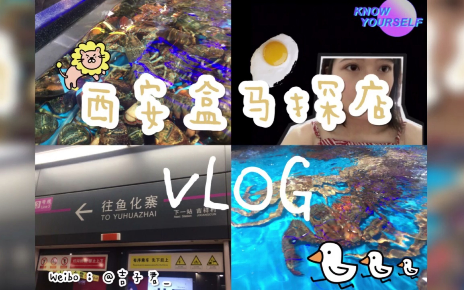 【小吉子的vlog】带你探店西安盒马鲜生/看看马云爸爸的投资/质量对得起价格的海鲜店哔哩哔哩bilibili