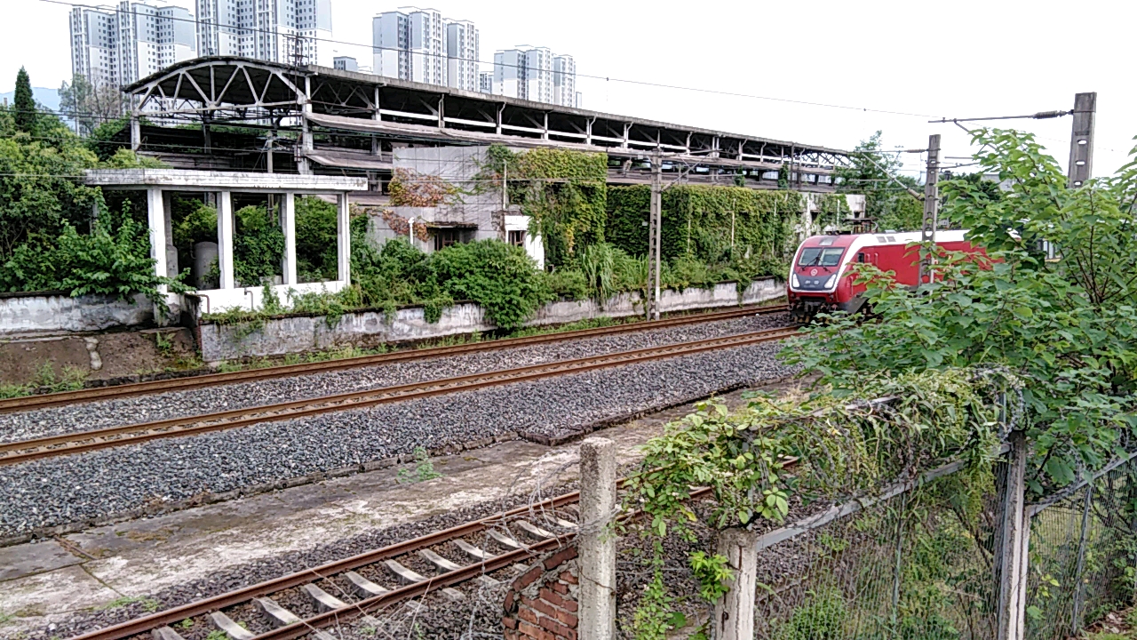 中国铁路〕k1269通过柏林口公园