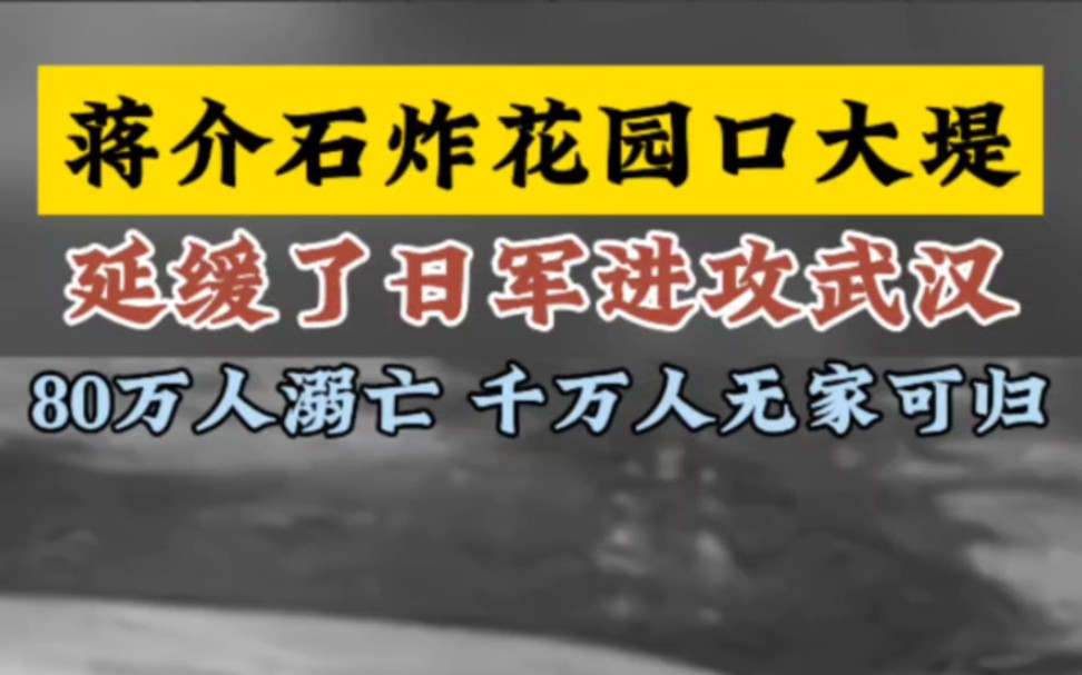 蒋介石炸花园口大堤,延缓日军进军武汉,但是也造成80万人溺亡,千万人无家可归.#历史#战争#炸花园口大堤哔哩哔哩bilibili