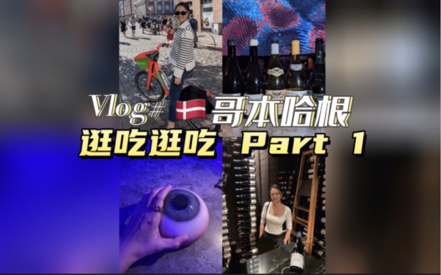 [图]旅行Vlog |哥本哈根的逛吃逛吃 part 1