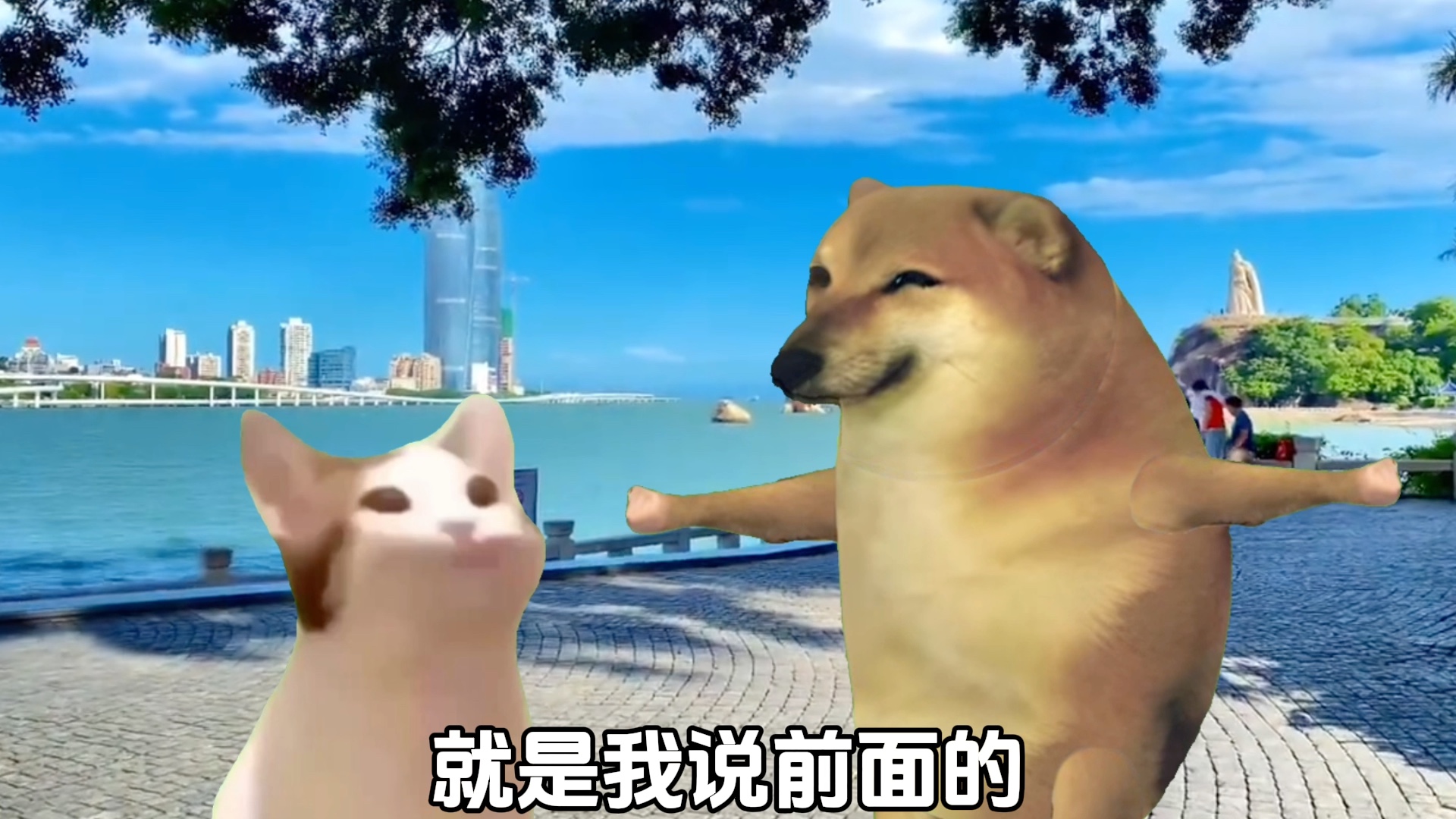 八戒八戒,心肠不坏哔哩哔哩bilibili