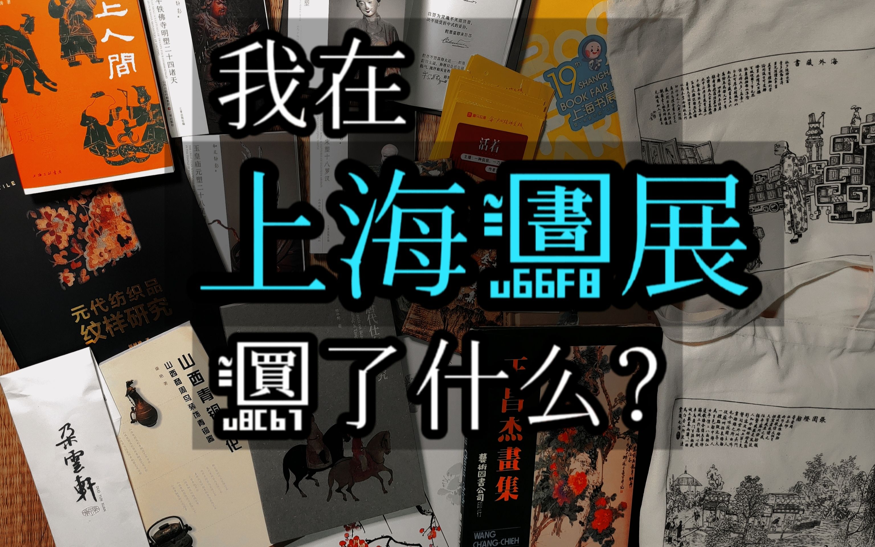 上海书展买什么?购书分享 | 国画|人文|考古相关哔哩哔哩bilibili