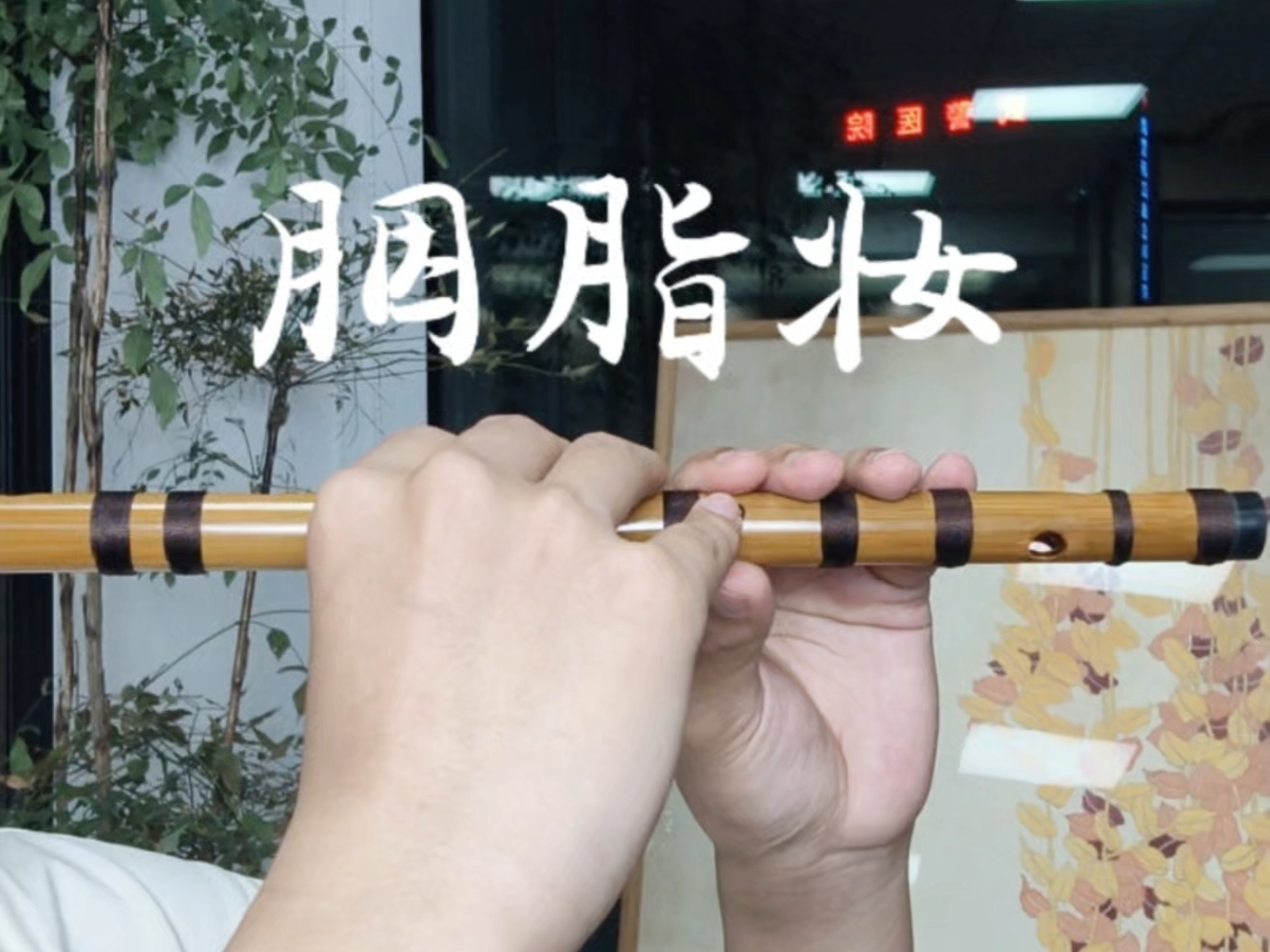 《胭脂妆》简谱带技巧标注➕手指演示