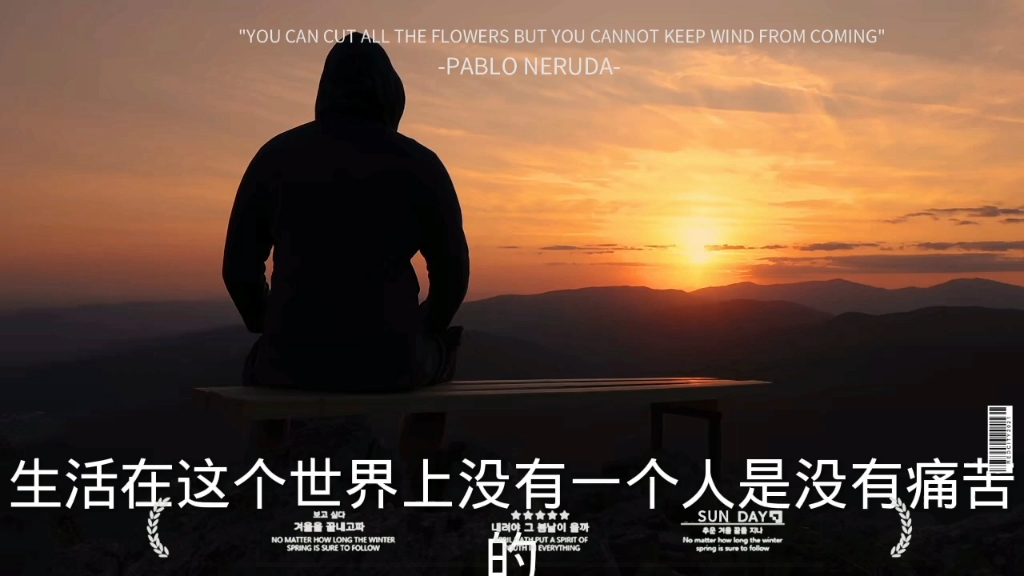 看完视频让你明白生活的本质