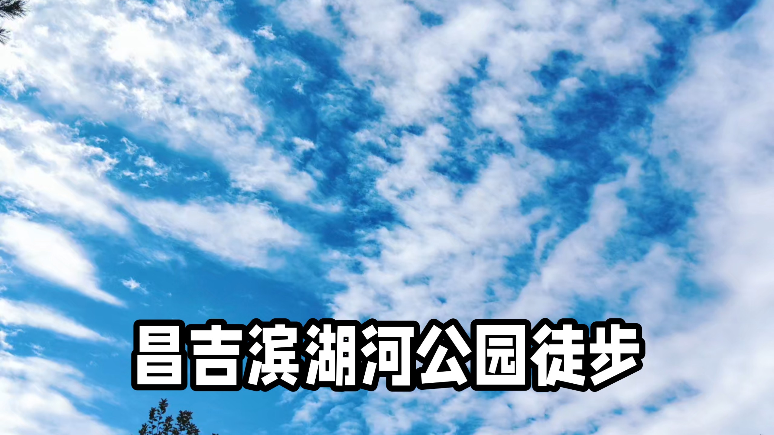 昌吉滨湖河公园徒步。
