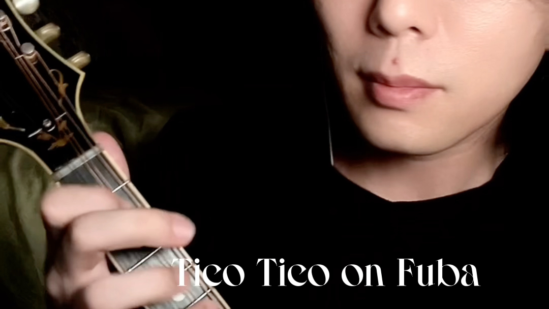 [图]Tico Tico On Fuba 巴西名曲 曼陀铃版