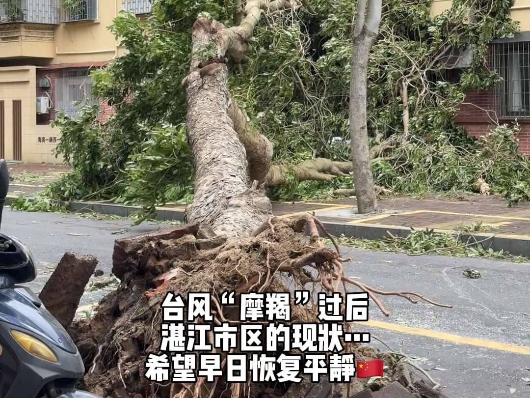 台风“摩羯”过后 广东湛江市区的现状…希望一切都能早日恢复平静!哔哩哔哩bilibili