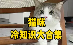 Download Video: 养猫一定要知道的猫咪冷知识，你知道哪些呢？