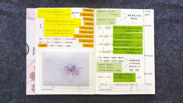 中国最伟大的两位诗人——李白和杜甫的漂泊一生【中国文学笔记】哔哩哔哩bilibili