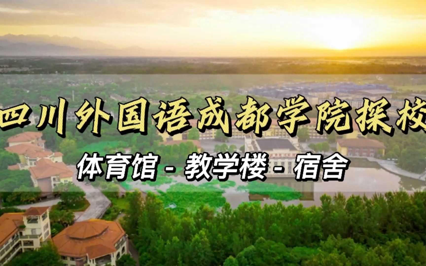 四川外国语大学成都学院技能型职业教育到底怎么样?哔哩哔哩bilibili