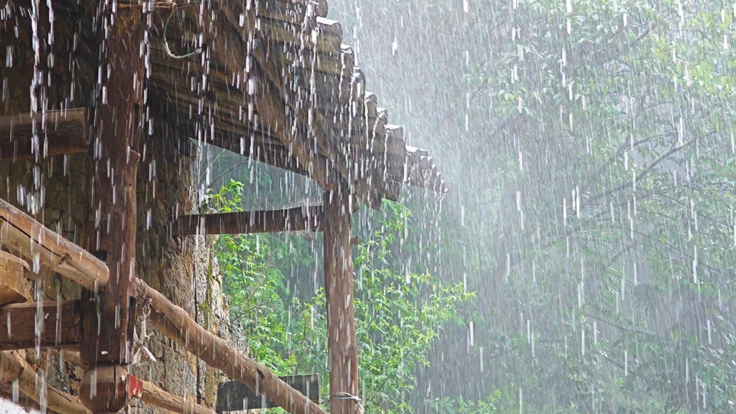 00后女生隐居深山，遭遇特大暴雨，屋无干处，菜亦遭殃