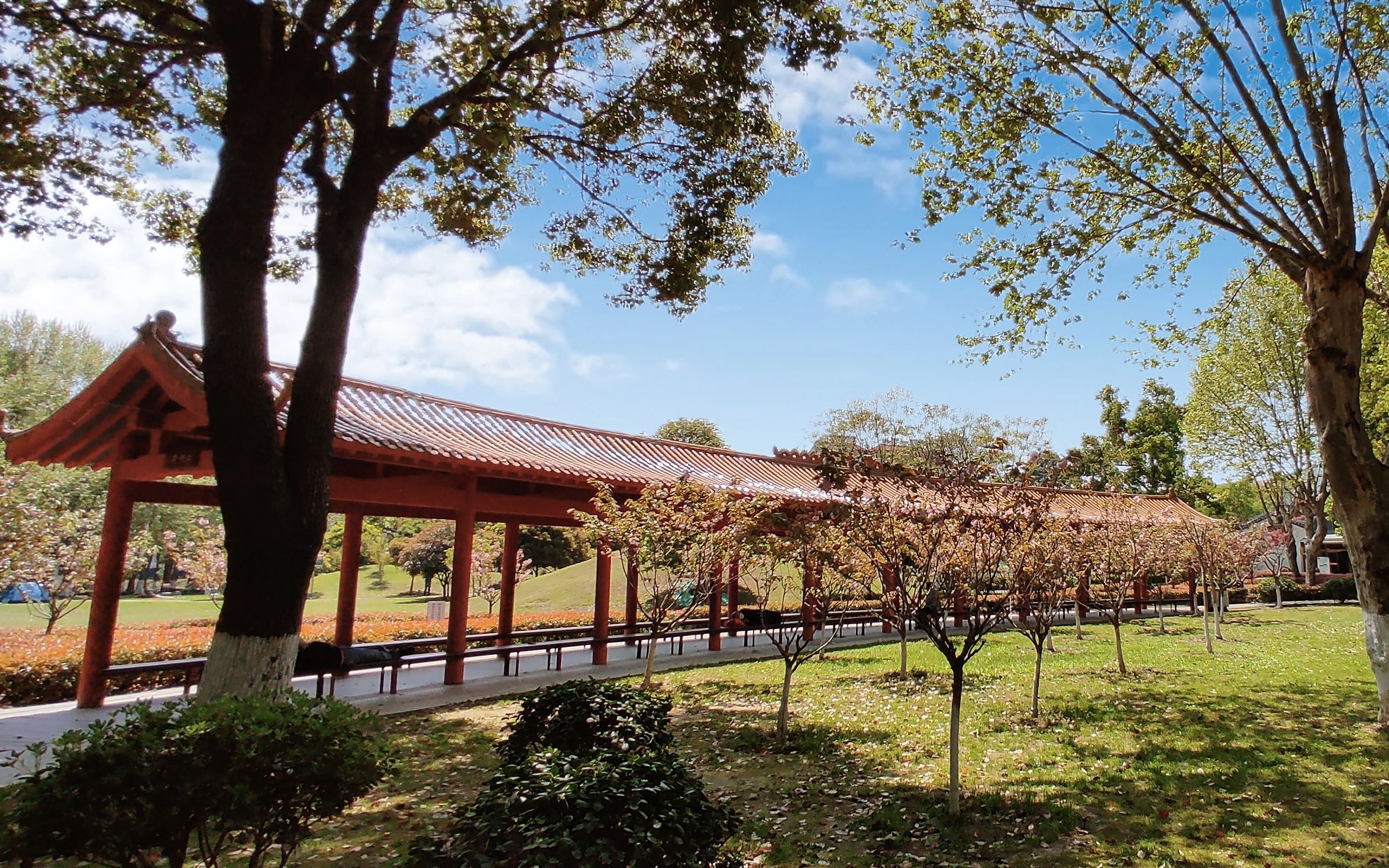 黄陂二龙潭公园林海葱茏佳山秀水健身游乐