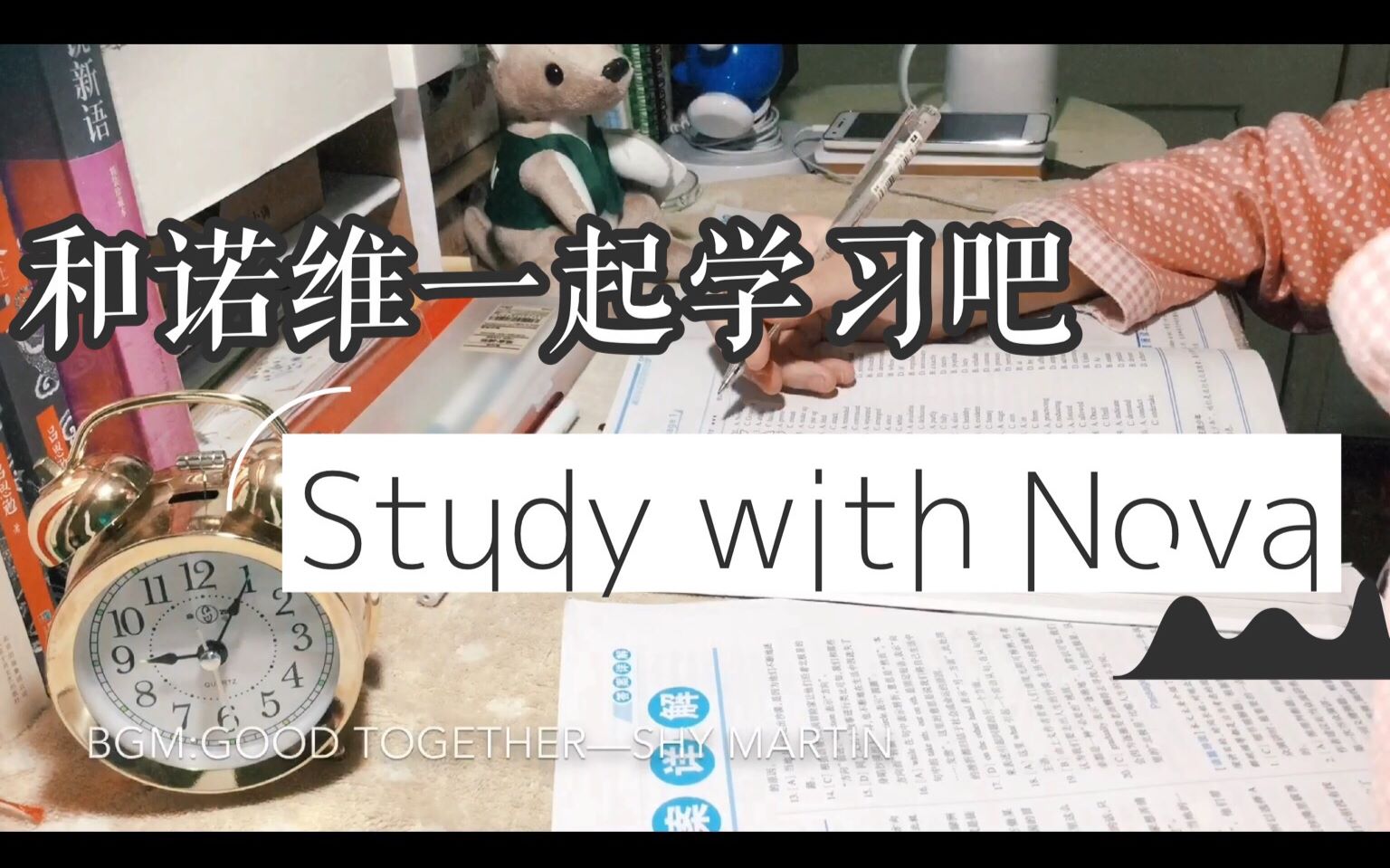 【诺维】Study With Nova|祝你 春风好得意 策马纵平生哔哩哔哩bilibili