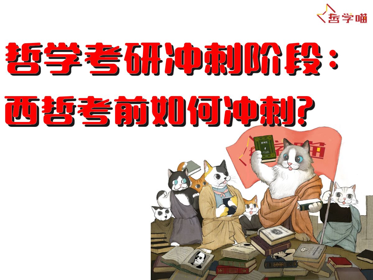 哲学考研冲刺阶段大问题:西哲考前如何冲刺?哔哩哔哩bilibili