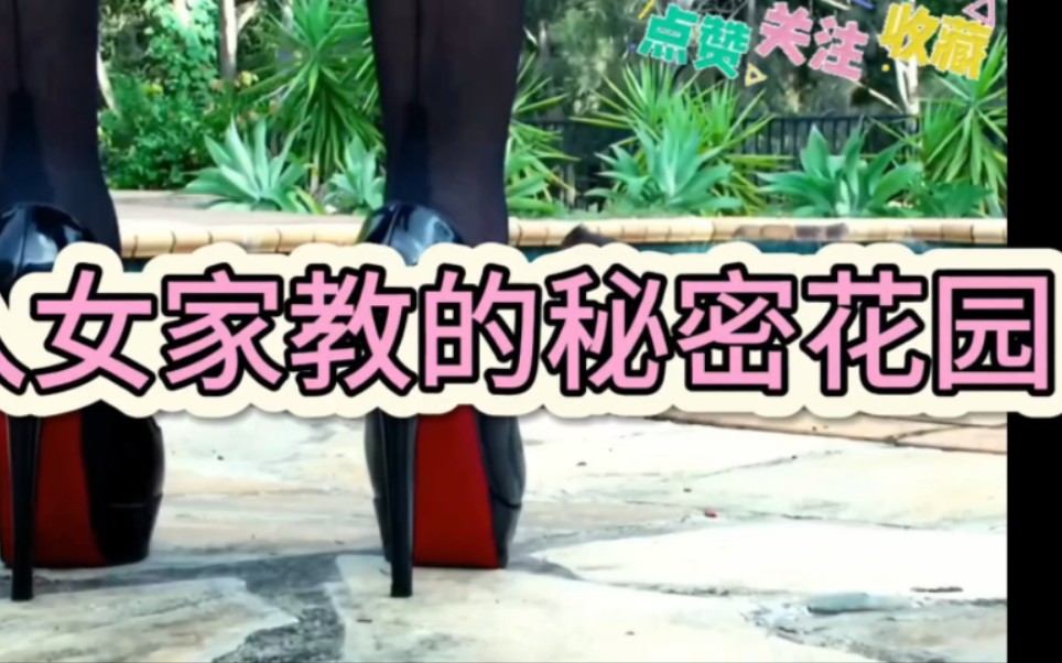 女家教的秘密花园哔哩哔哩bilibili