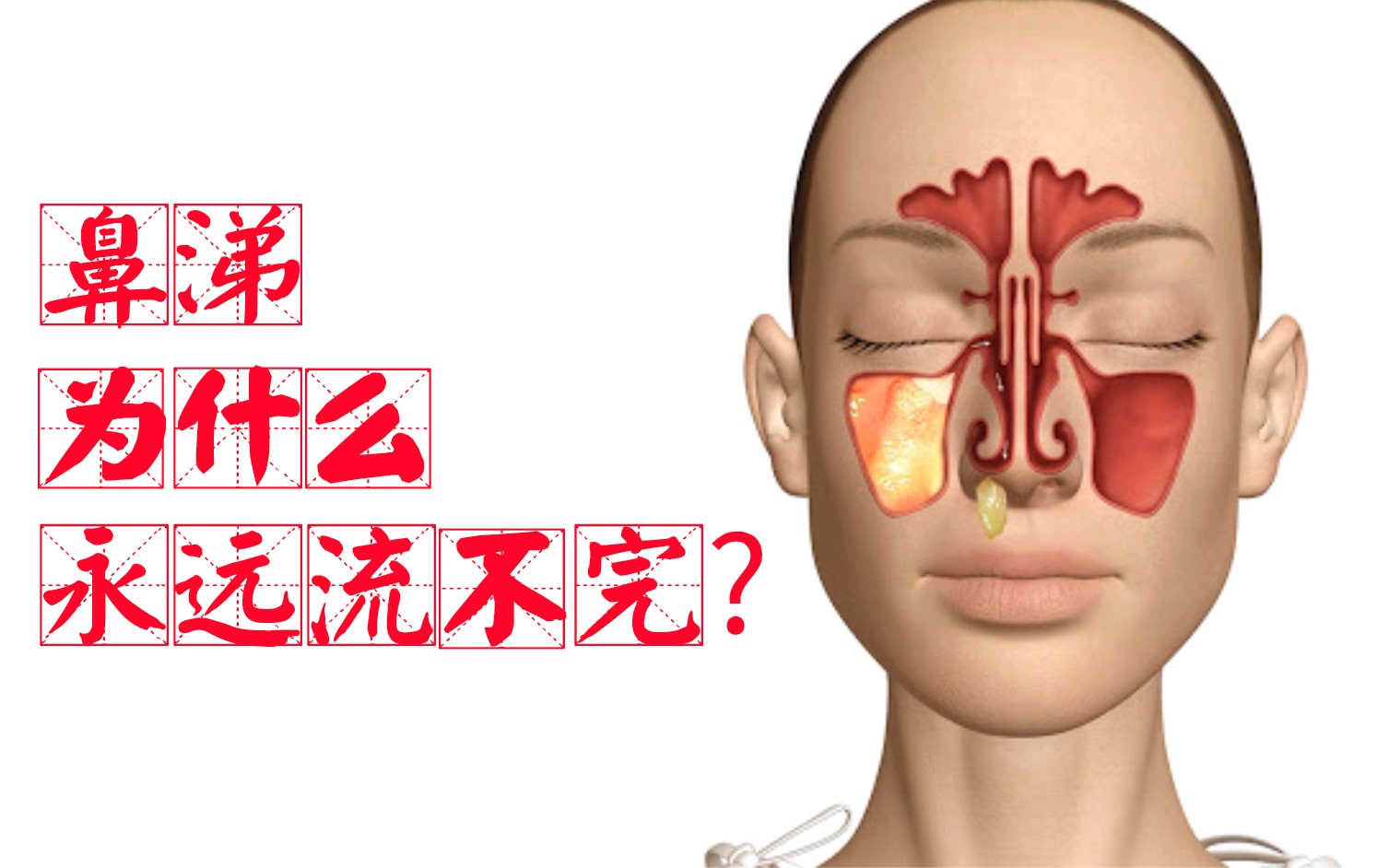 [图]为什么感冒时，鼻涕流不完，它到底是从哪来的？