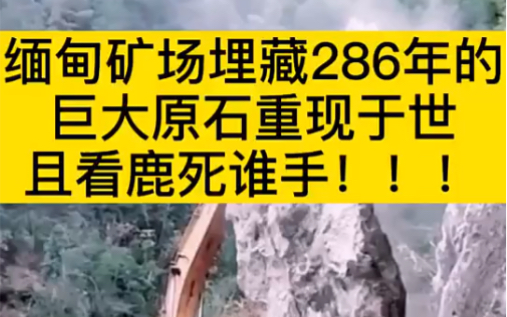 深圳老总低调现身拍卖行,不顾朋友劝阻当场抵押钢材厂8%股权拿下原石!现在正在开切,到底是一刀穷还是一刀富呢?哔哩哔哩bilibili