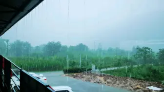 Скачать видео: 每天就疯狂下雨呗