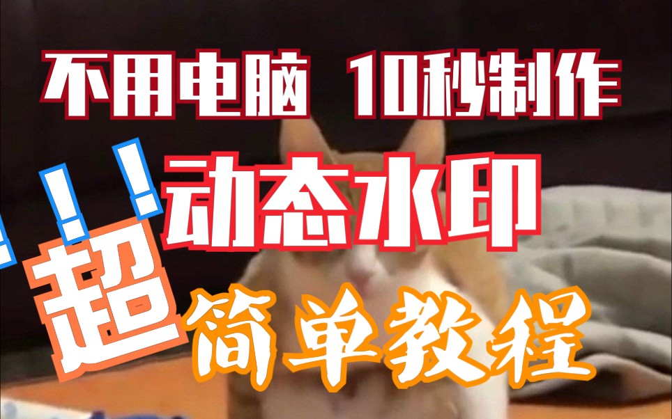 不用电脑10秒制作一个动态水印 超级简单 keynote哔哩哔哩bilibili