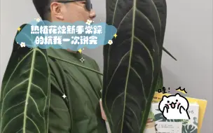 Download Video: 热植花烛新手常踩的坑我一次说完