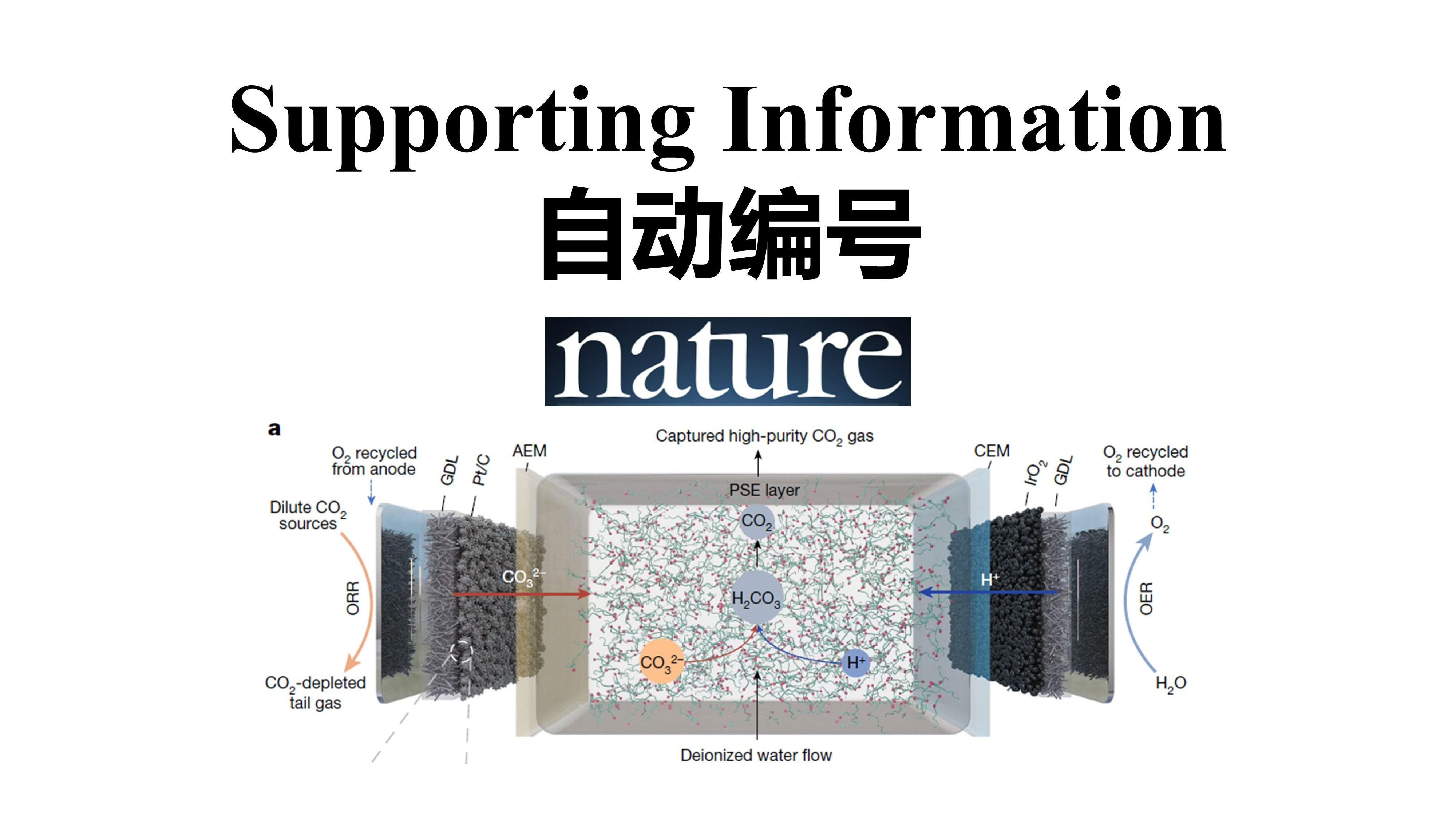 【写论文】设置Supporting Information (SI)自动编号一次性搞定编号问题哔哩哔哩bilibili