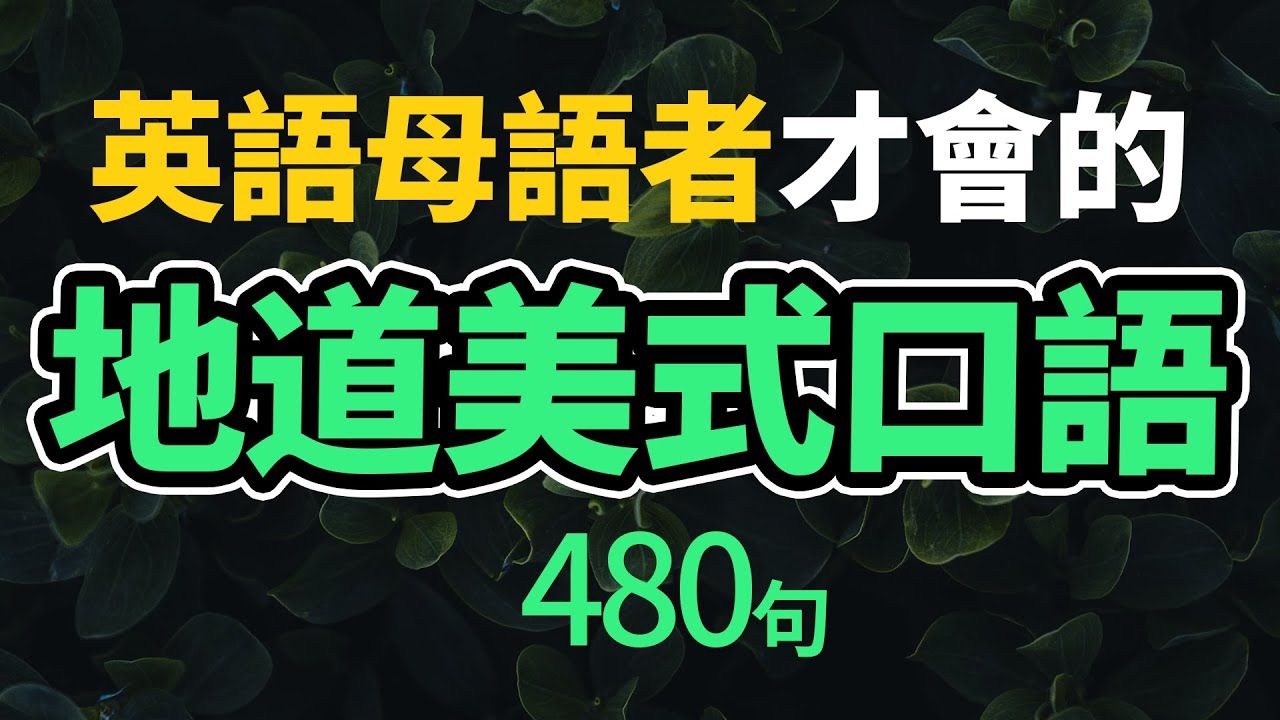 英语母语者经常使用的地道美式口语480句【从零开始学英语】既能听懂美国人说什么,还能用地道口语表达,才能更好地融入当地社会!哔哩哔哩bilibili