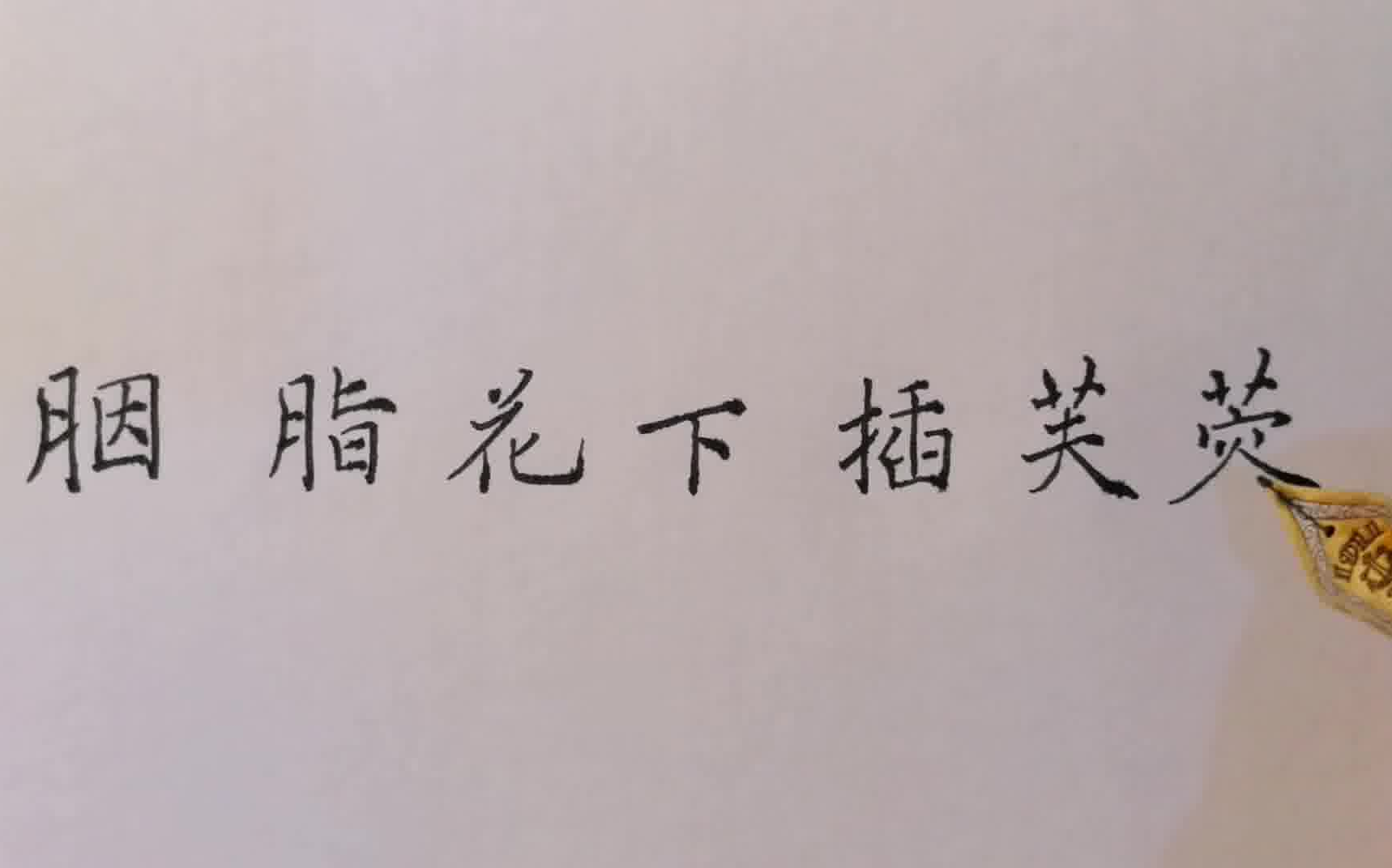 活动作品胭脂花下插芙蓉