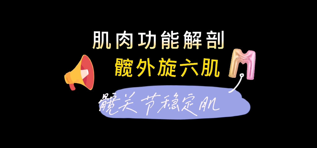 带你从22个角度学习髋外旋六肌:梨状肌/上孖肌/闭孔内肌/下孖肌/闭孔外肌/股方肌哔哩哔哩bilibili