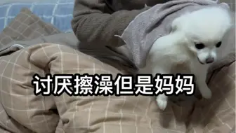 妈妈和姥姥带孩子对比