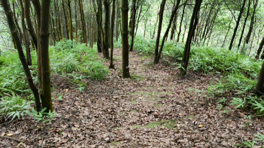 卓峰山随手拍_哔哩哔哩 (゜-゜)つロ 干杯~-bilibili