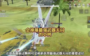 Download Video: 会掉落最强武器天闪的小树