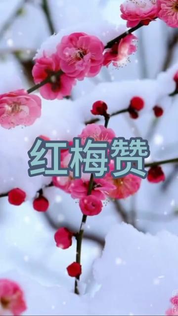 电吹管 音源盒#歌剧《江姐》主题曲:红梅赞#夜色阑珊演奏#经典老歌