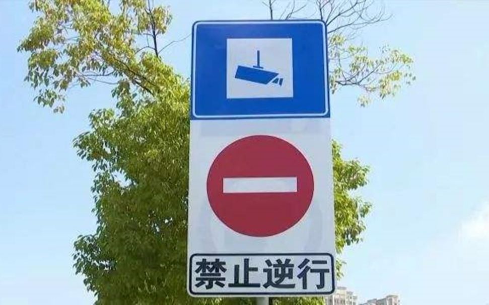 逆行被逼退 还就那个逮住