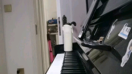 《蝴蝶少女》钢琴