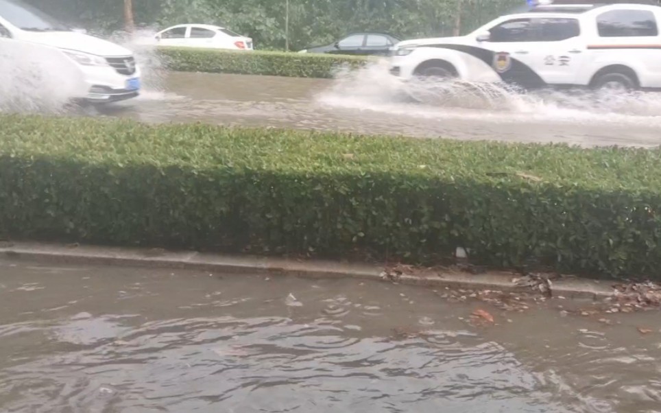 河南鹤壁大雨图片