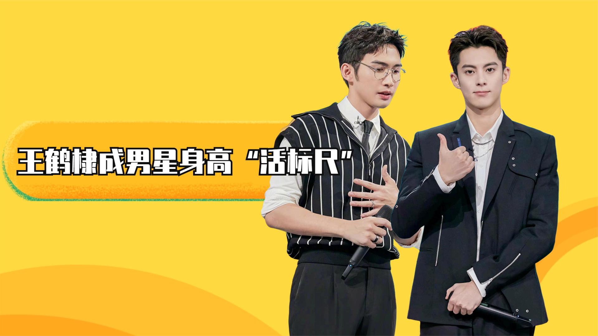 王鹤棣成男星身高"活标尺",当张彬彬陈赫同台,到底谁虚报了?