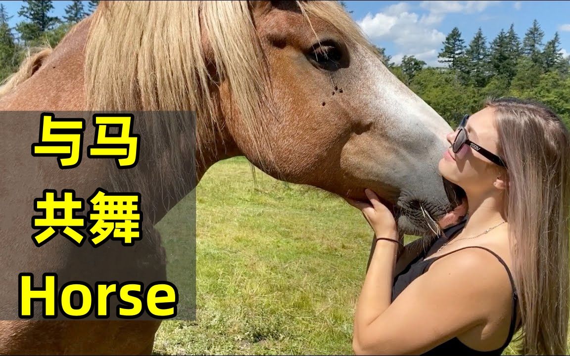 【与马共舞Horse】“人有人格,马也有马格”,如何搭建良好的人马关系?哔哩哔哩bilibili